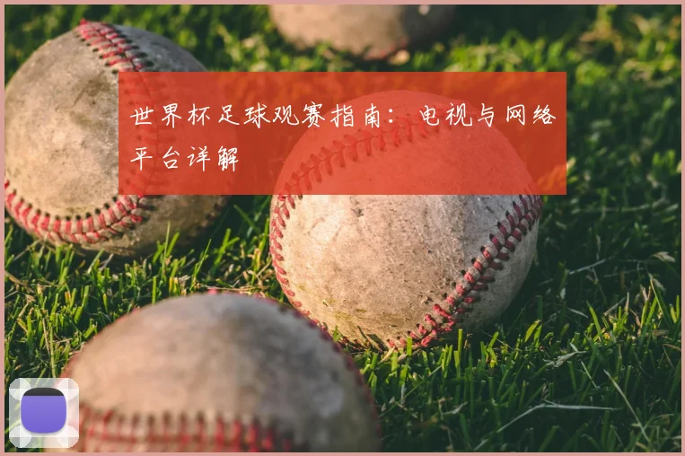 世界杯足球观赛指南:电视与网络平台详解