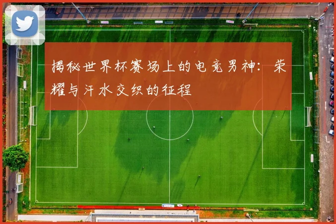 揭秘世界杯赛场上的电竞男神：荣耀与汗水交织的征程