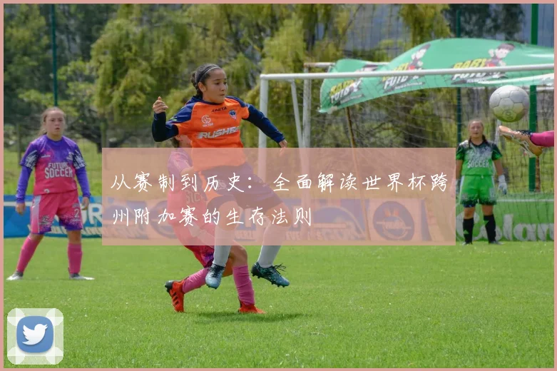 从赛制到历史：全面解读世界杯跨州附加赛的生存法则
