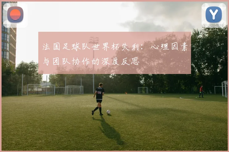 法国足球队世界杯失利：心理因素与团队协作的深度反思