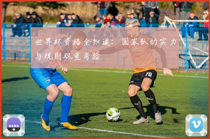 世界杯资格全知道：国家队的实力与规则双重考验
